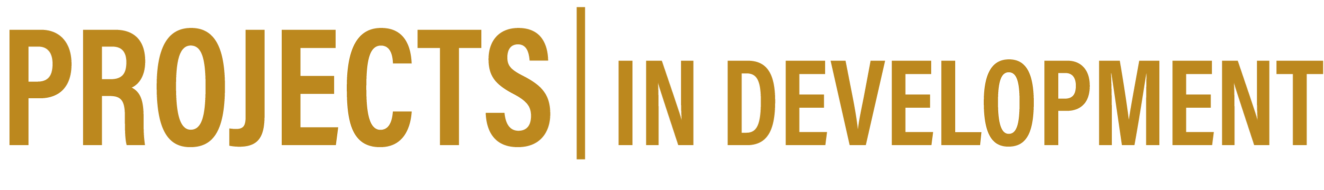 Asuman Ozgonul Projects